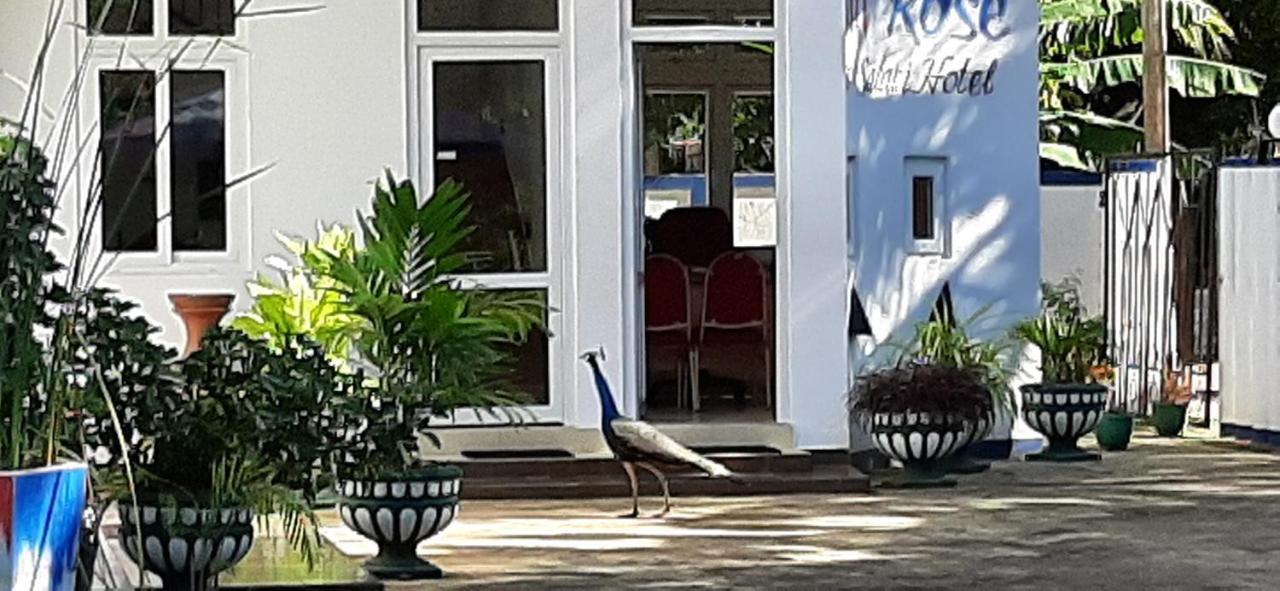 Owin Rose Yala Safari Hotel 티사마하라마 외부 사진